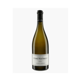 Bâtard-Montrachet Grand Cru 2021 | GIRARDIN VINCENT
