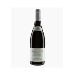 Beaune 1er Cru Pertuisots (Ex-Domaine 2021) 2000 | LEROY MAISON