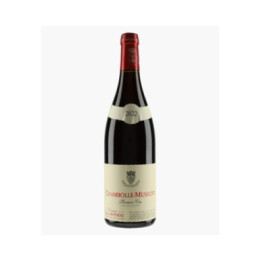 Chambolle-Musigny 1er Cru | BERTHEAU FRANCOIS