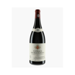 Côteaux Bourguignons | RAMONET J-C