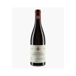 Côteaux Bourguignons | RAMONET J-C