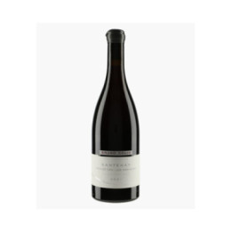 Santenay 1er Cru Les Gravières | COLIN BRUNO