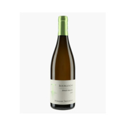 Bourgogne Pinot Blanc | TRUCHETET