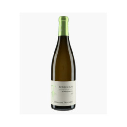 Bourgogne Pinot Blanc | TRUCHETET