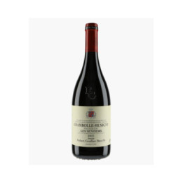 Chambolle-Musigny 1er Cru Les Sentiers 2021 | GROFFIER ROBERT PERE & FILS