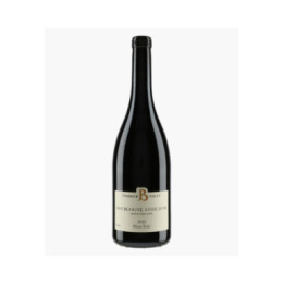 Bourgogne Côte d'Or Pinot Noir 2022 | BOULEY PIERRICK