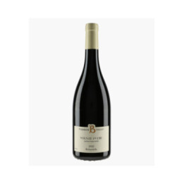 Volnay 1er Cru Robardelle 2022 | BOULEY PIERRICK