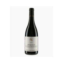 Bourgogne Hautes-Côtes de Nuits 2022 | CATHIARD SYLVAIN