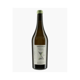 Arbois Pupillin Chardonnay La Marcette 2022 | CELLIER SAINT BENOIT