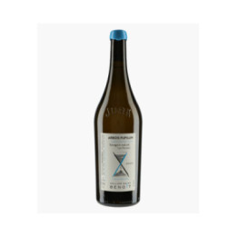 Arbois Pupillin Savagnin Naturé Les Plantées 2022 | CELLIER SAINT BENOIT