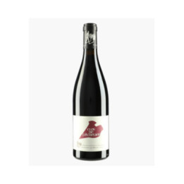 Saumur-Champigny Clos de l'Echelier 2022 | ROCHES NEUVES - THIERRY GERMAIN
