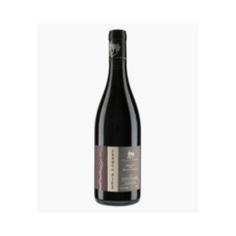 Saumur-Champigny Cuvée Franc de Pied 2023 | ROCHES NEUVES - THIERRY GERMAIN