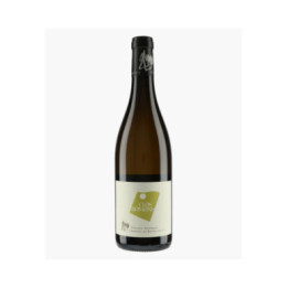 Saumur Clos Romans 2023 | ROCHES NEUVES - THIERRY GERMAIN
