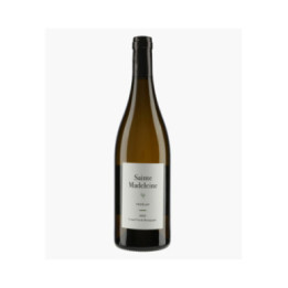 Vézelay 2023 | SAINTE-MADELEINE