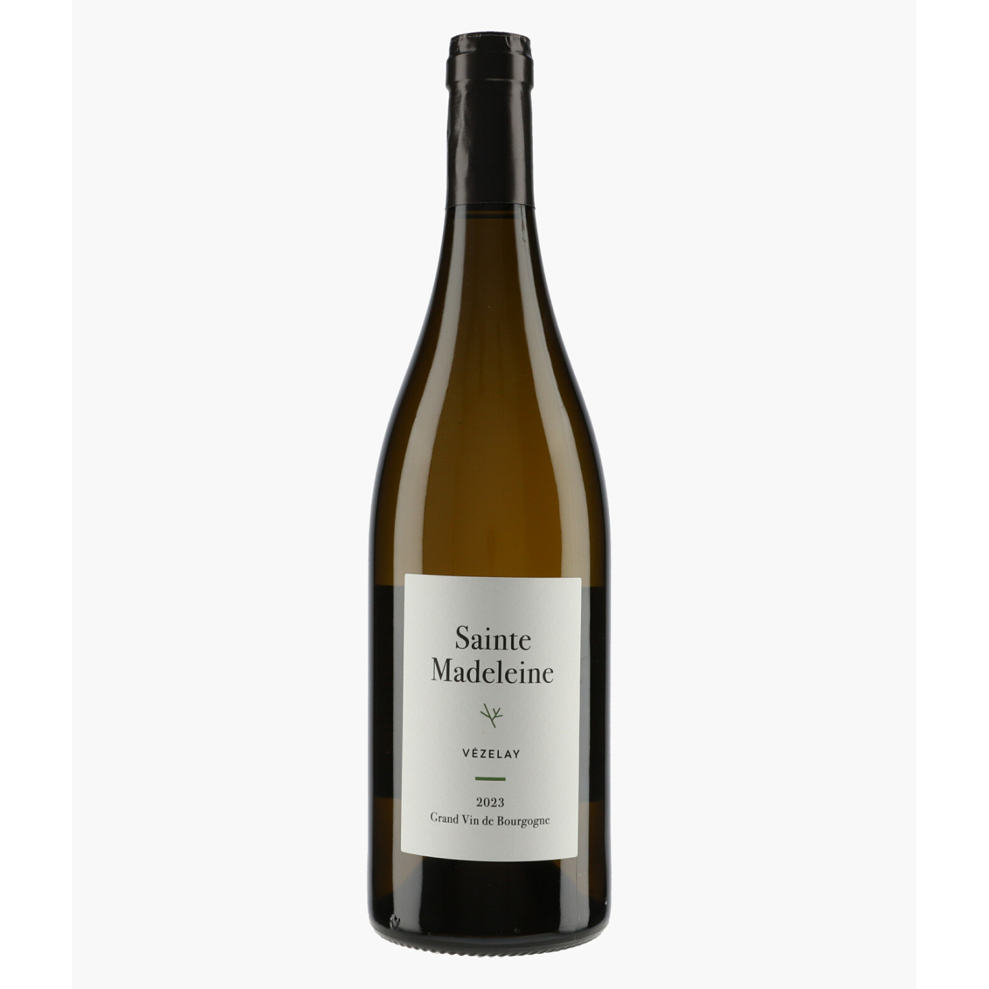 Vézelay 2023 | SAINTE-MADELEINE