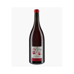 Coteaux Bourguignons Gamay 2023 | PETITE EMPREINTE