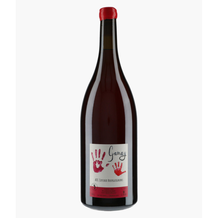 Coteaux Bourguignons Gamay 2023 | PETITE EMPREINTE