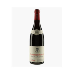 Chambolle-Musigny 1er Cru Les Amoureuses | BERTHEAU FRANCOIS