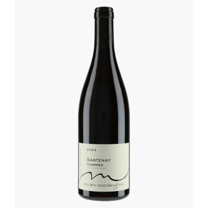 Santenay Charmes 2023 | MUZARD LUCIEN