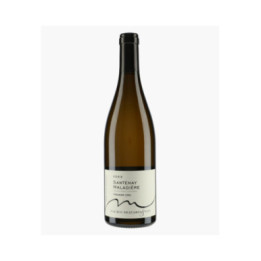 Santenay 1er Cru Maladière 2023 | MUZARD LUCIEN