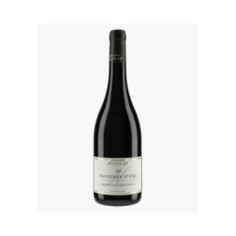 Santenay 1er Cru Grand Clos Rousseau 2023 | NICOLAS