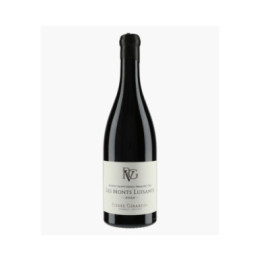 Morey-Saint-Denis 1er Cru Les Monts-Luisants 2022 | GIRARDIN PIERRE