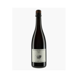 Mousses Sauvages Gamay 2022 | MAISON ROMANE
