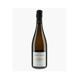 Champagne Le Cépage Grand Cru Verzy | RENOIR ADRIEN
