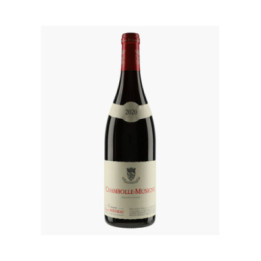 Chambolle-Musigny | BERTHEAU FRANCOIS