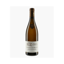 Savigny-les-Beaune Dessus Les Gollardes 2020 | LEBREUIL PIERRE & J-B