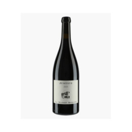 Gevrey-Chambertin La Justice 2023 | MAISON ROMANE