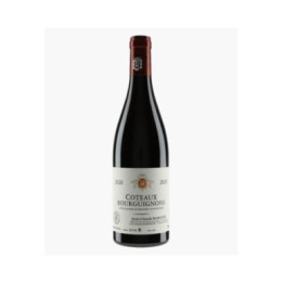 Côteaux Bourguignons | RAMONET J-C