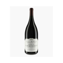 Clos-de-Vougeot Grand Cru 2022 | MEO-CAMUZET