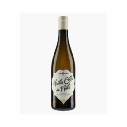 Bourgogne Hautes-Côtes de Nuits | RECCHIONE JEREMY