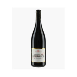 Saint Nicolas de Bourgueil Les Malgagnes Amphore 2023 | AMIRAULT YANNICK