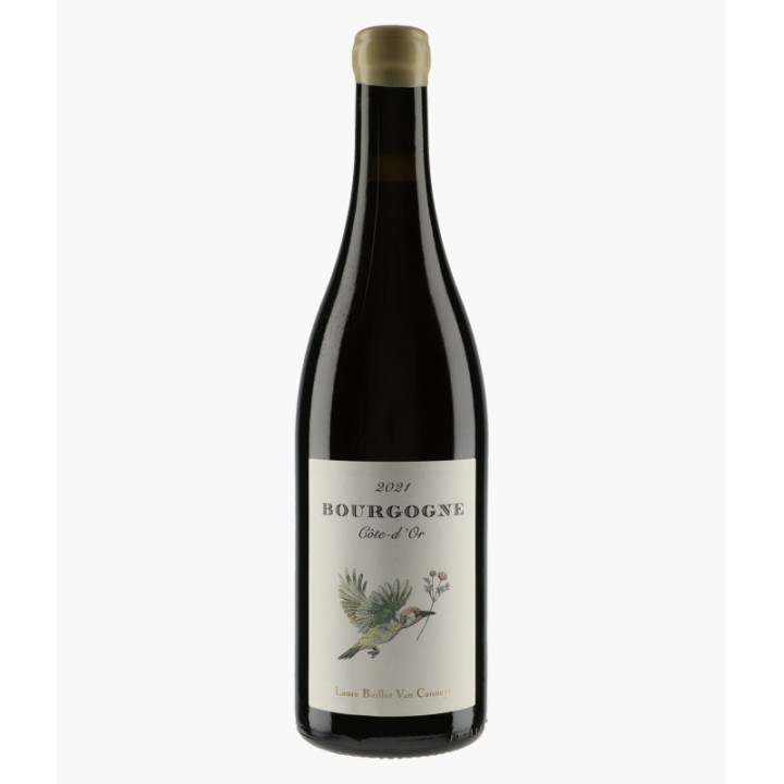 Bourgogne Côte d'Or 2021 | BAILLOT VAN CANNEYT LAURE