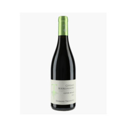 Côteaux Bourguignons Cuvée Hugo 2023 | TRUCHETET MORGAN