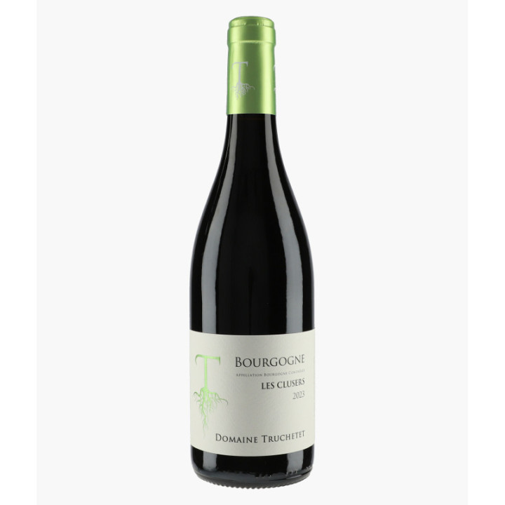 Bourgogne Les Clusers 2023 | TRUCHETET MORGAN