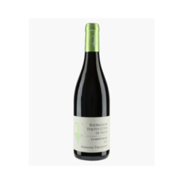 Bourgogne Hautes-Côtes de Nuits La Montagne 2023 | TRUCHETET MORGAN