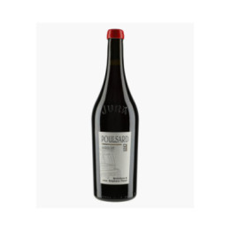 Arbois Poulsard En Amphore Sans Soufre | TISSOT STEPHANE