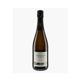 Champagne Solessence Extra-Brut | SELEQUE JEAN MARC