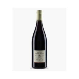 Rully 1er Cru Clos du Chapitre 2022 | JAEGER-DEFAIX