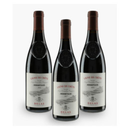 Verticale 2016 - 2018 Hermitage Ligne de Crête Les Grandes Vignes | DELAS