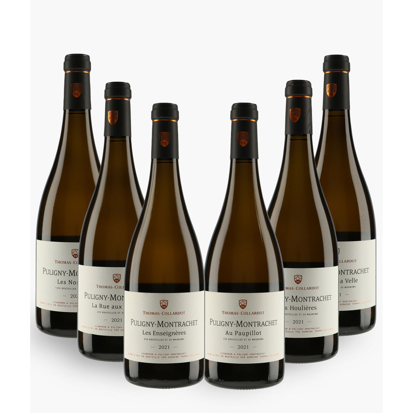 Horizontale Puligny-Montrachet Thomas-Collardot 2021 | THOMAS-COLLARDOT