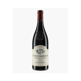 Gevrey-Chambertin 1er Cru Craipillot 2022 | HUMBERT FRERES