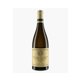 Chevalier-Montrachet Grand Cru Les Demoiselles | JADOT LOUIS