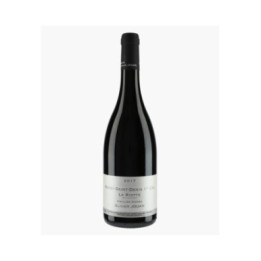 Morey-Saint-Denis 1er Cru La Riotte Vieilles Vignes 2017 | JOUAN OLIVIER