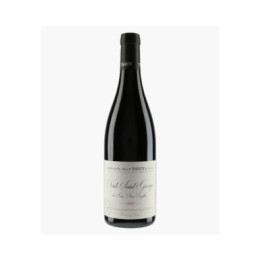 Nuits-Saint-Georges 1er Cru Aux Argillas 2020 | TARDY JEAN & FILS