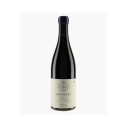 Santenay Bieveaux 2022 | PERNOT ALVINA