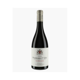Pommard 1er Cru Les Rugiens 2023 | CLERGET YVON